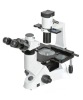 Inverted Biological Lab Microscope