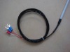 K type Thermocouple teflon clad probe corrosion proof