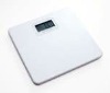 KL-3065 Personal body Weight Scale