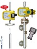 LC3015 Displacer level transmitter with local indicator
