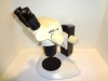 LEICA GZ 6 ZOOM STEREOMICROSCOPE