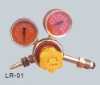 LR-01 LPG Regulator