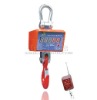 Look straight crane scale