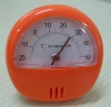 Lovely Indoor Desk Thermometer