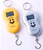 Luggage Scale