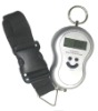 Luggage scale