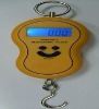 Luggage scale