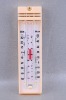 MAX&MIN Thermometer