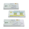 MF0316 Body Surface Area ruler