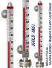 Magnetic level gauge for PN5.0MPa /300LB ANSI 450C