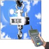 Manual hanging scale 10t