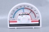 Max/Min Thermometer