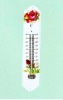 Metal Thermometer