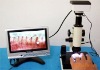 Microcirculation detection instrument