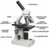 Microscope