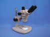Microscope