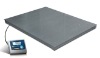 Mild steel electronic floor Scale