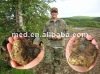 Minelab GPX-5000 Gold Detector