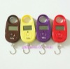 Mini Hand Held Portable Balance Electronic Fish Hook Weigh Digital Scale 15KG/5G #8152