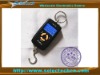 Most Popular 45kg-10g portable digital scale with blue back light and double graduation design SE-TL-050