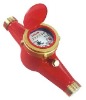 Multi jet Dry type Water Meter (Hot Water)