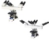 Multi-viewing biological microscope SC608