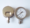 Naite All-stainless steel pressure gauge