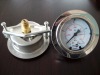 Naite Back Pressure Gauge with flange