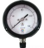 Naite Back connection Liquid filled pressure gauge