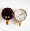 Naite Bottom Entry Pressure gauge