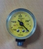 Naite Bottom Pressure Gauge