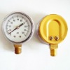 Naite Bottom Pressure Gauge