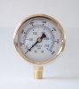 Naite Bottom connection oil filled pressure gauge