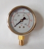 Naite Bottom liquid filled pressure gauge