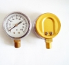 Naite Gas Pressure gauge