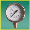 Naite Glycerine Pressure Gauge