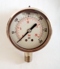 Naite Oil Stainless Steel pressure gauge