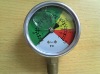 Naite Oil filled Pressure Gauge