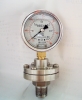 Naite SS Diaphragm Pressure Gauge