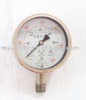 Naite SS Pressure Gauge