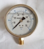 Naite SS case Oil gauge