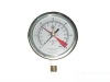 Naite Stainless Steel Diaphragm Pressure Gauge