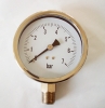 Naite Stainless Steel Gauge