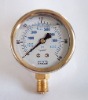 Naite Stainless steel oil pressure gauge