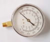 Naite pressure gauge