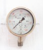 Naite stainless steel pressure gauge