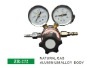 Natural Gas Regulator