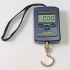 New DIGITAL KITCHEN SCALE Fishing Scales