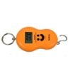 Newest luggage pocket scale
