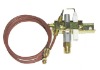 ODS pilot burner